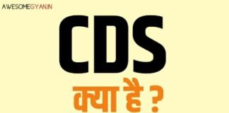 CDS क्या है? CDS की पूरी जानकारी हिंदी में।