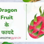 Dragon Fruit के फायदे